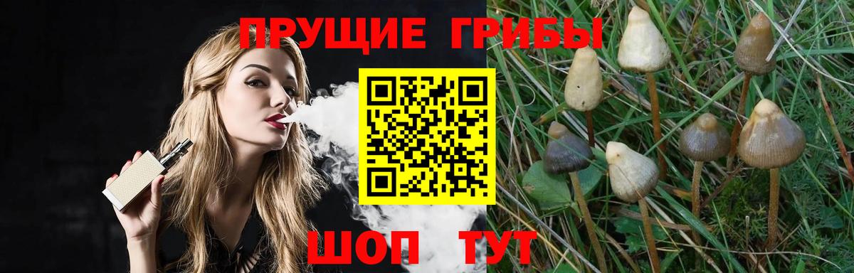 Ростов Великий  Галлюциногенные грибы Cubensis  Вход с VPN 