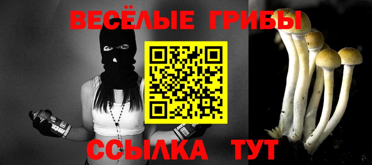 Псилоцибиновые грибы Magic Shrooms Ростов Великий
